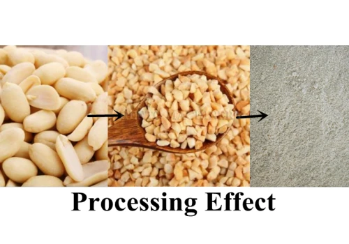 info-500-350