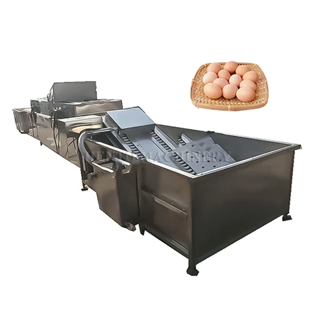 अंडा ब्रश क्लीनर ड्रायर उत्पादन लाइन